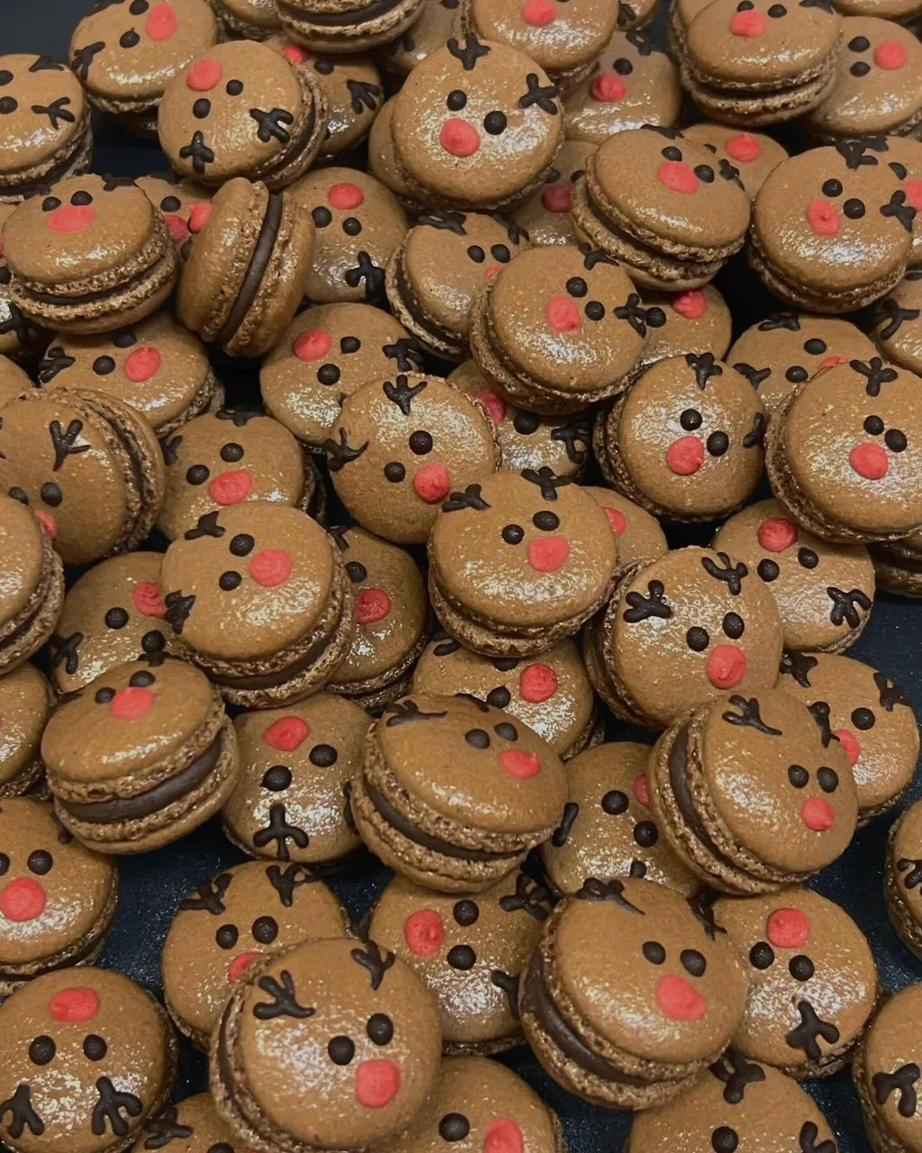 Christmas Macaron